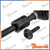 Demi-Arbre de Transmission MTM avant gauche pour BMW | NPW-BM-187, 31608607263